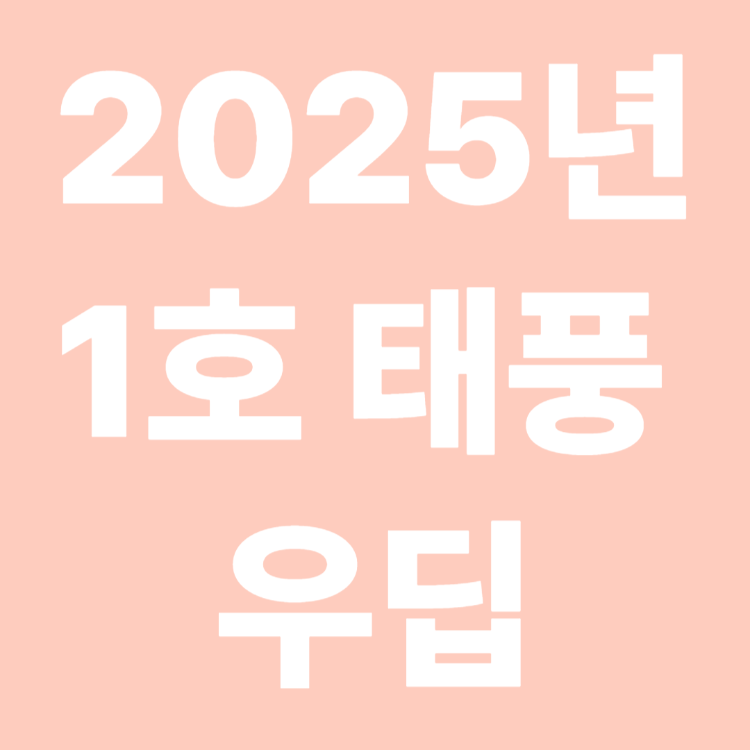 2025년 1호 태풍 우딥