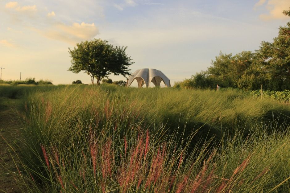 서울 억세축제 2025&amp;#44; 하늘공원에서 만나는 가을축제