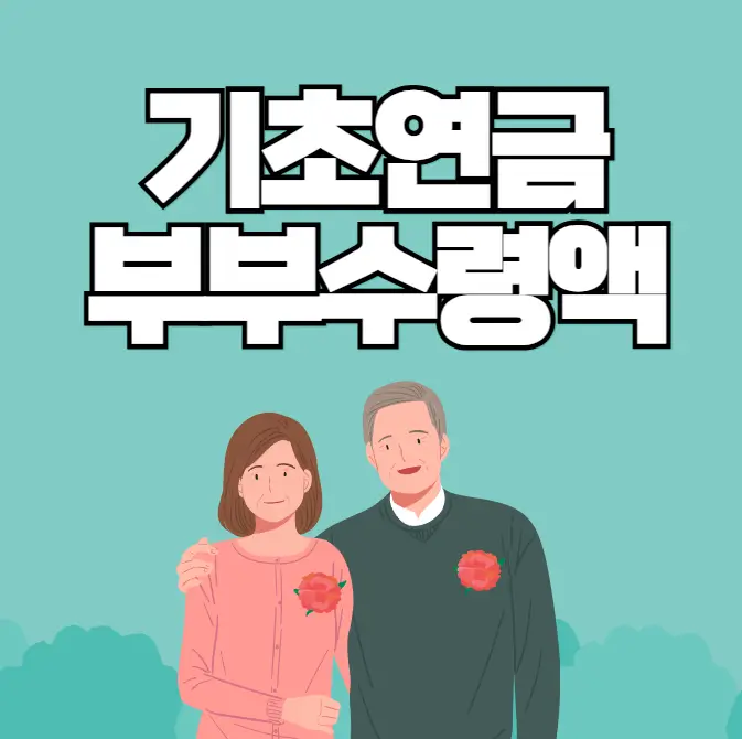 기초연금 부부수령액