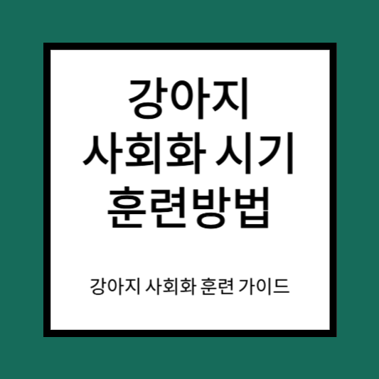 강아지 사회화 시기