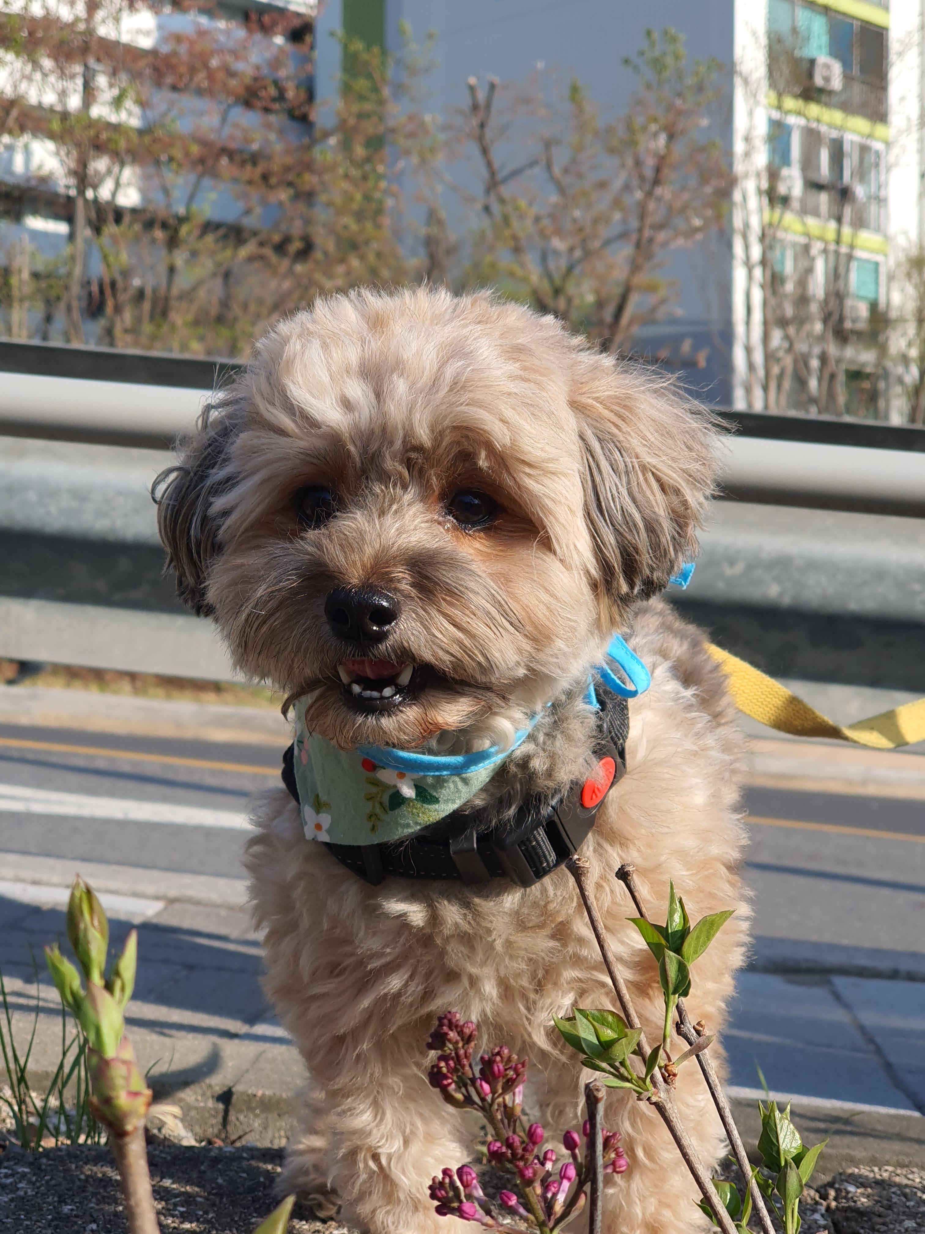 웃고 있는 토리