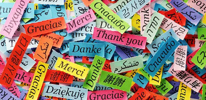 예측 가능성을 통한 행동 안정화