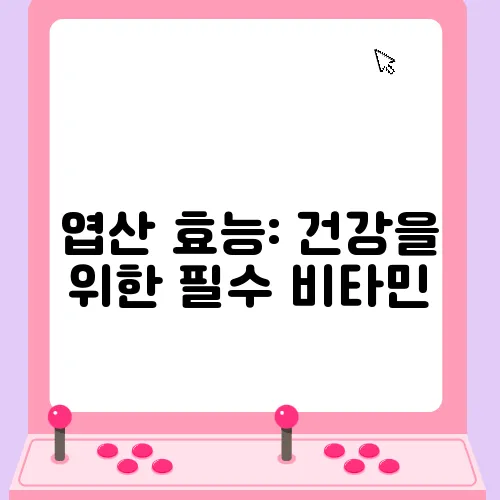 엽산 효능: 건강을 위한 필수 비타민