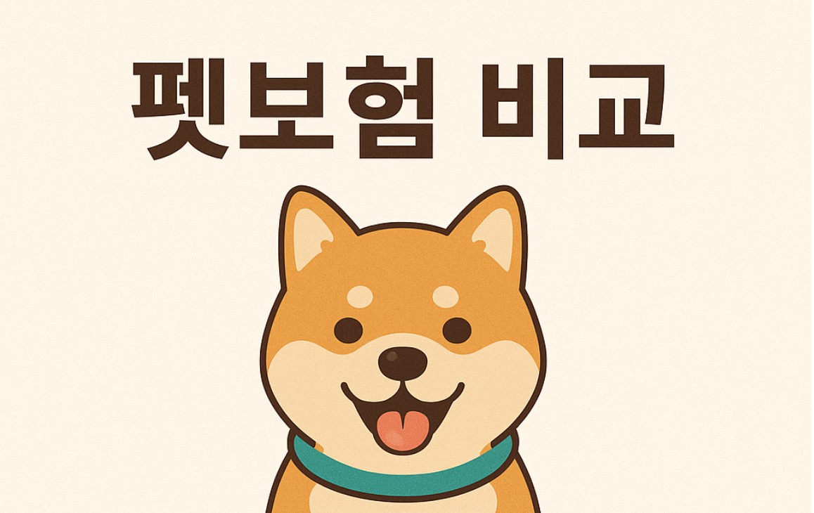 펫보험 비교 사진