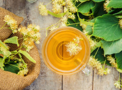 우엉차 효능 10가지 및 부작용