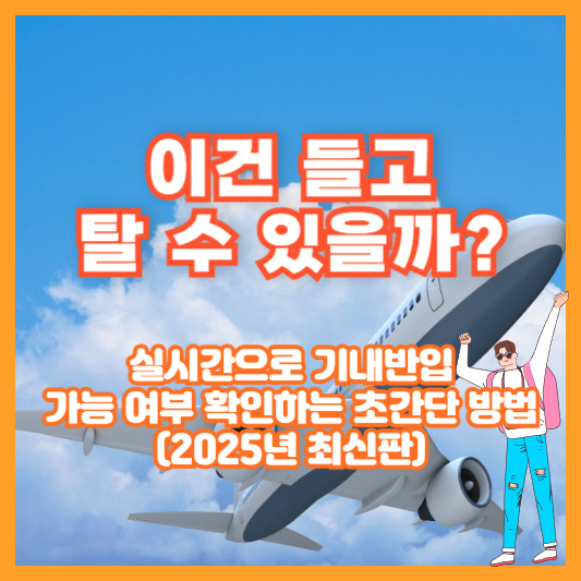“이건 들고 탈 수 있을까?” 실시간으로 기내반입 가능 여부 확인하는 초간단 방법 (2025년 최신판)