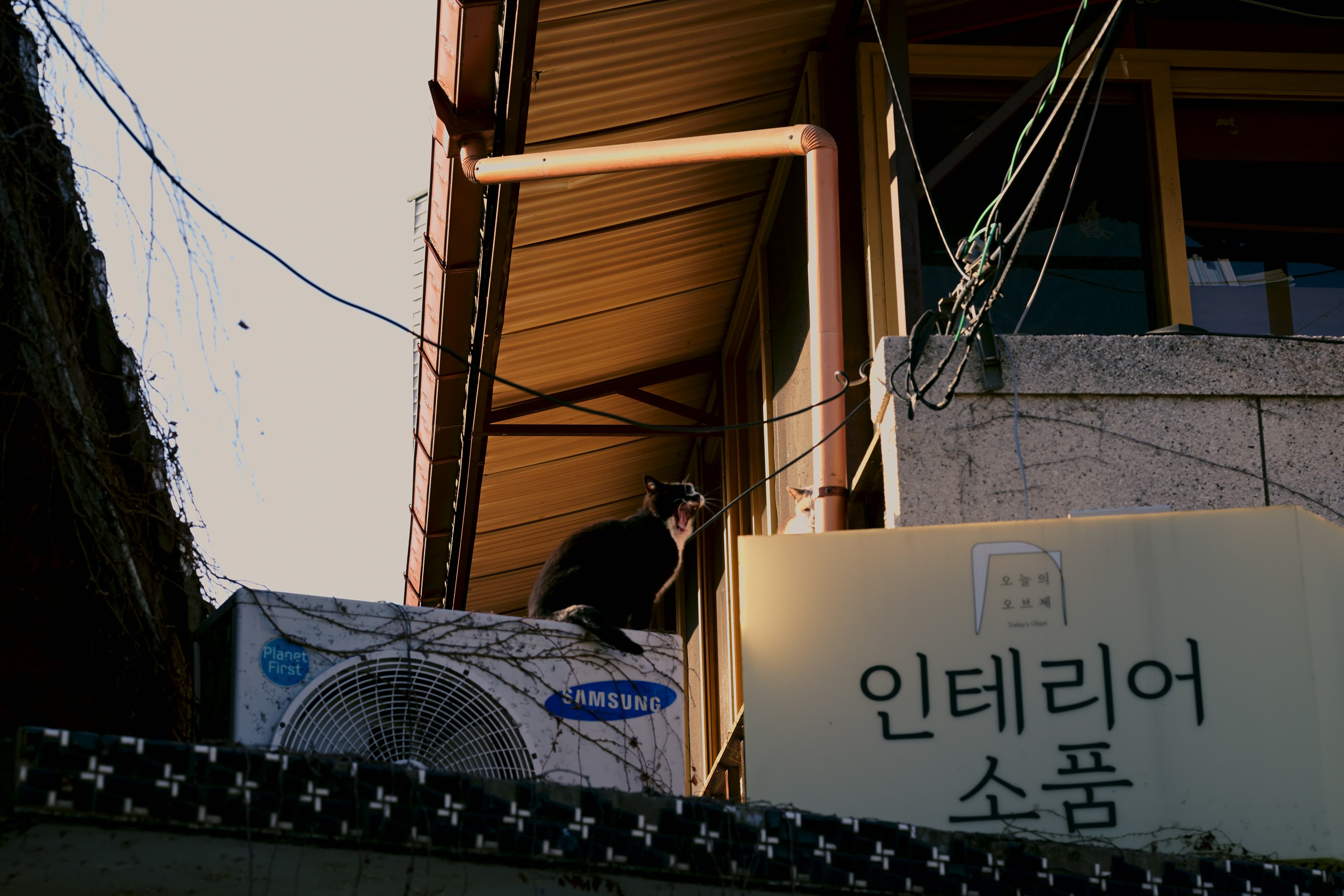 에어컨 실외기 관리방법 총정리
