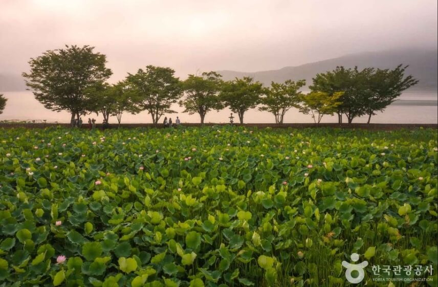 양평 가볼만한곳 베스트 10