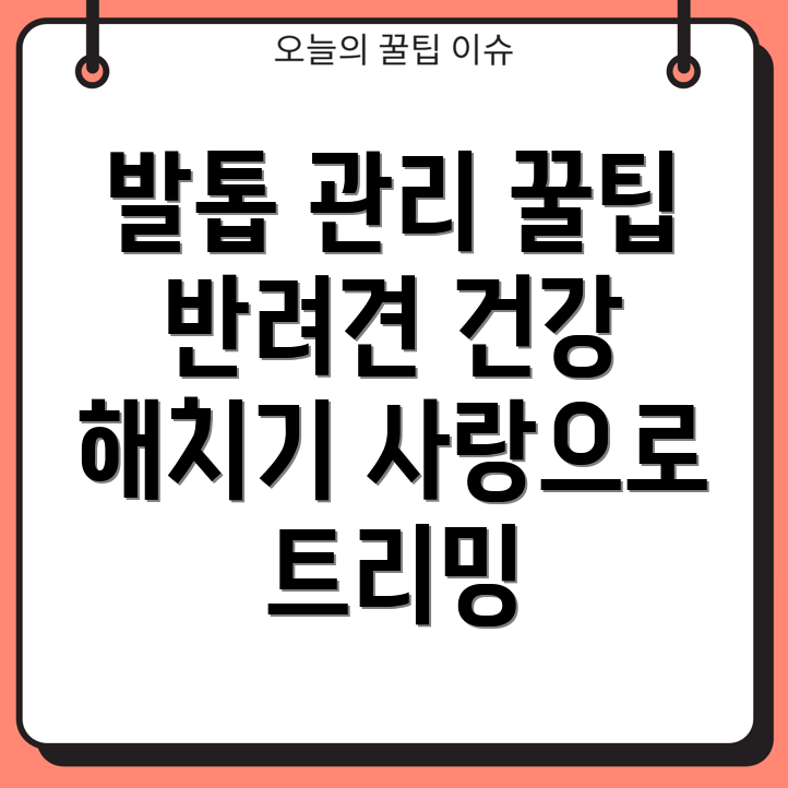 강아지 발톱 트리밍