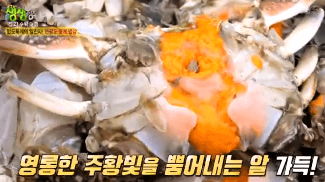 생생 정보통 맛집 식당 정보