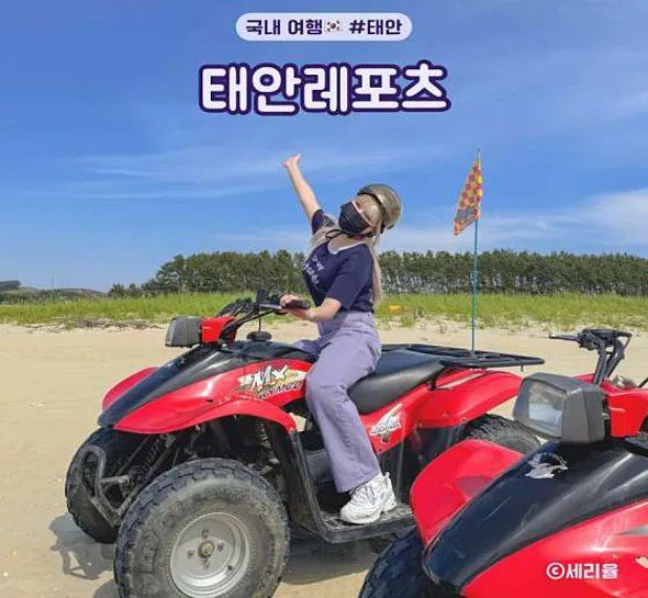 태안레포츠