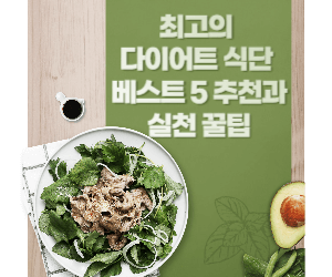 최고의 다이어트 식단 베스트 5 추천과 실천 꿀팁