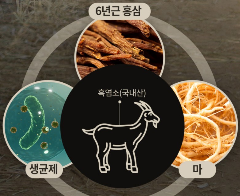 흑염소-외에-들어가는-성분에-대해서-알려주고-있습니다.