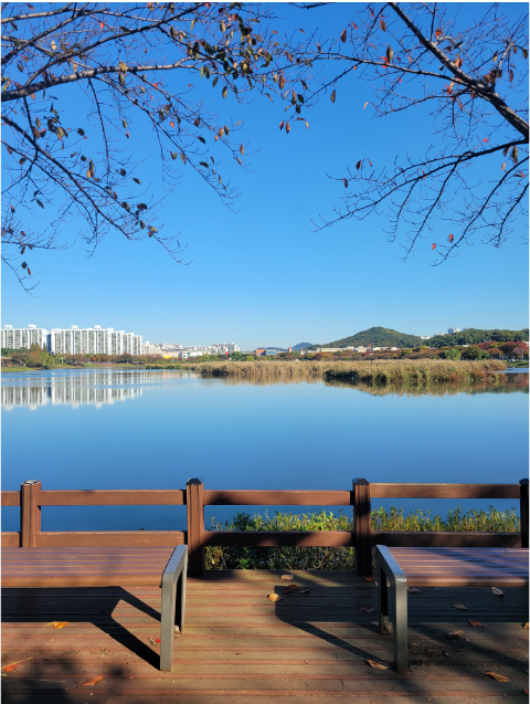 안산 화랑유원지