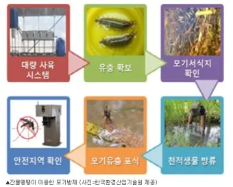 병해충 천적 활용 무당벌레 기생벌 끈끈이트랩 친환경 방제_4