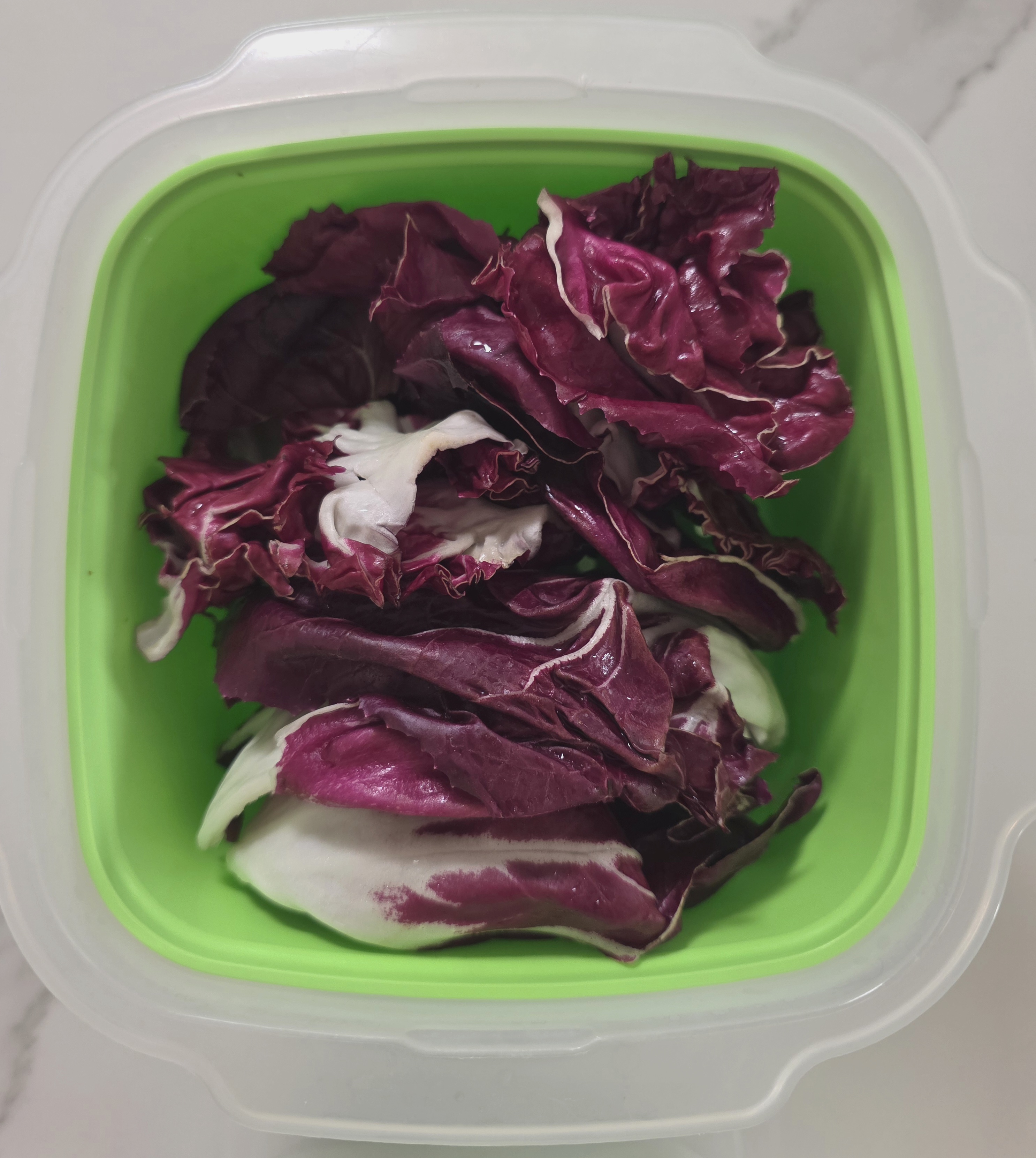 라디치오가-싱싱하고-맛있어요.
