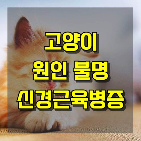 고양이 건강 원인 불명의 신경근육병증