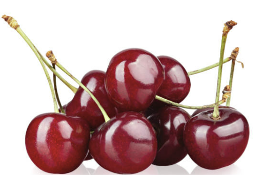 체리의효능몸에좋은이유