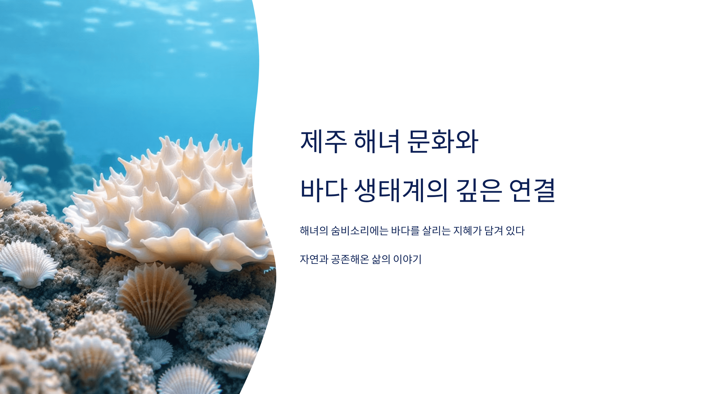 제주 바다 사진입니다.