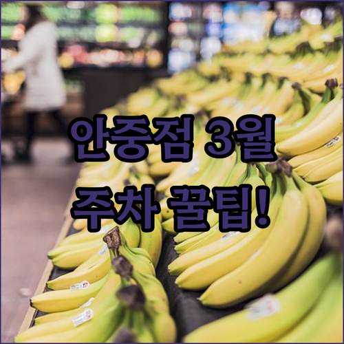 평택시 홈플러스 안중점 3월 쇼핑 시..
