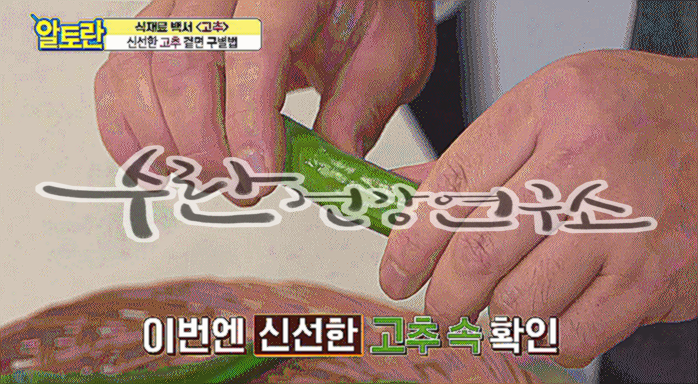 고추씨 활용법