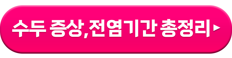 수두 증상