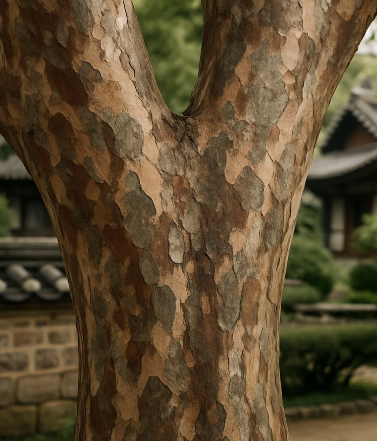 여름의 여왕&amp;#44; 100일간 피고 지는 배롱나무 꽃의 모든 것