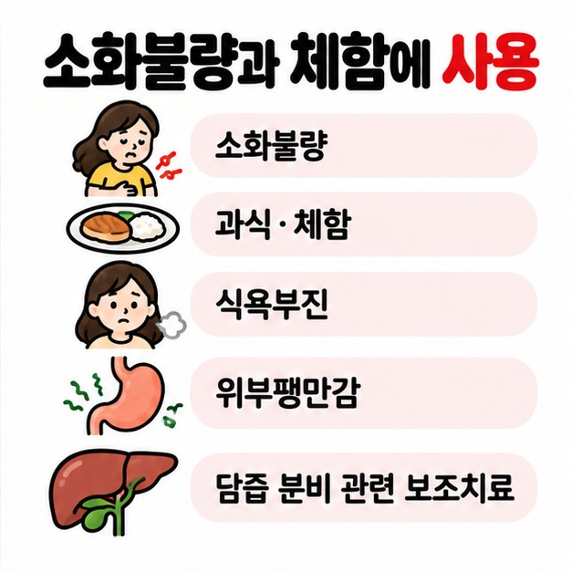 소화불량 과식 체함 위부팽만감과 담즙 분비 관련 보조치료 효능을 간단히 보여주는 카드