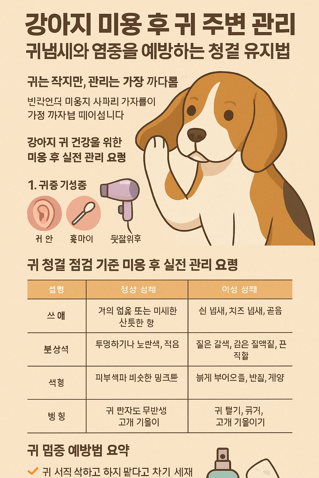 강아지 미용 후 귀 주변관리 사진