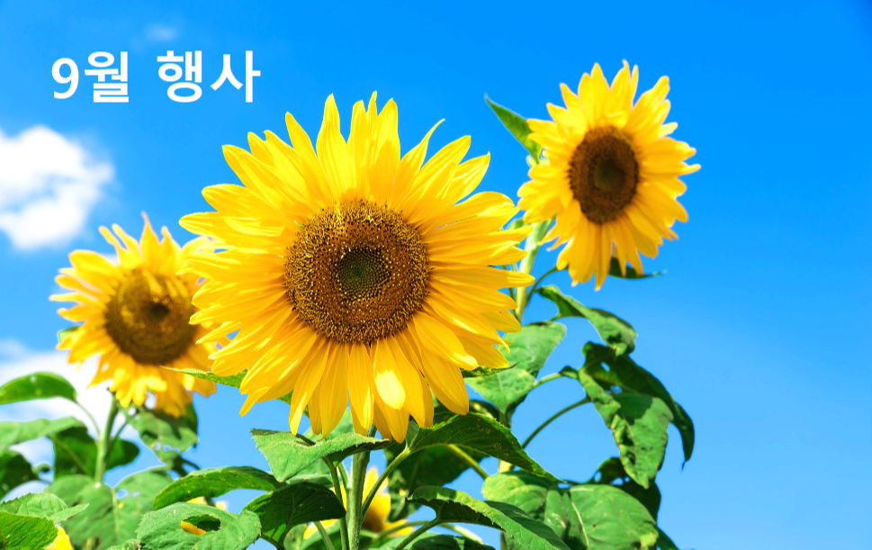 9월축제