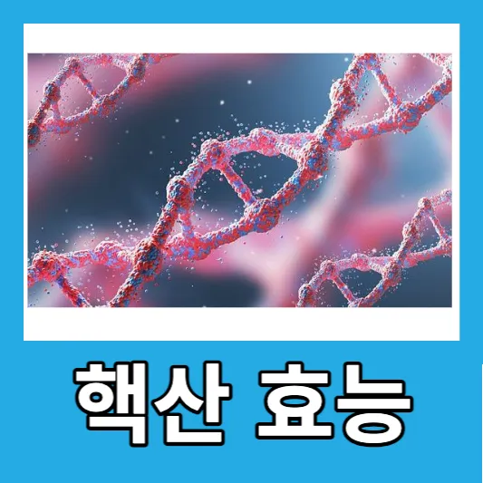 핵산 영양제 추천 핵산 효능 핵산 풍부한 음식