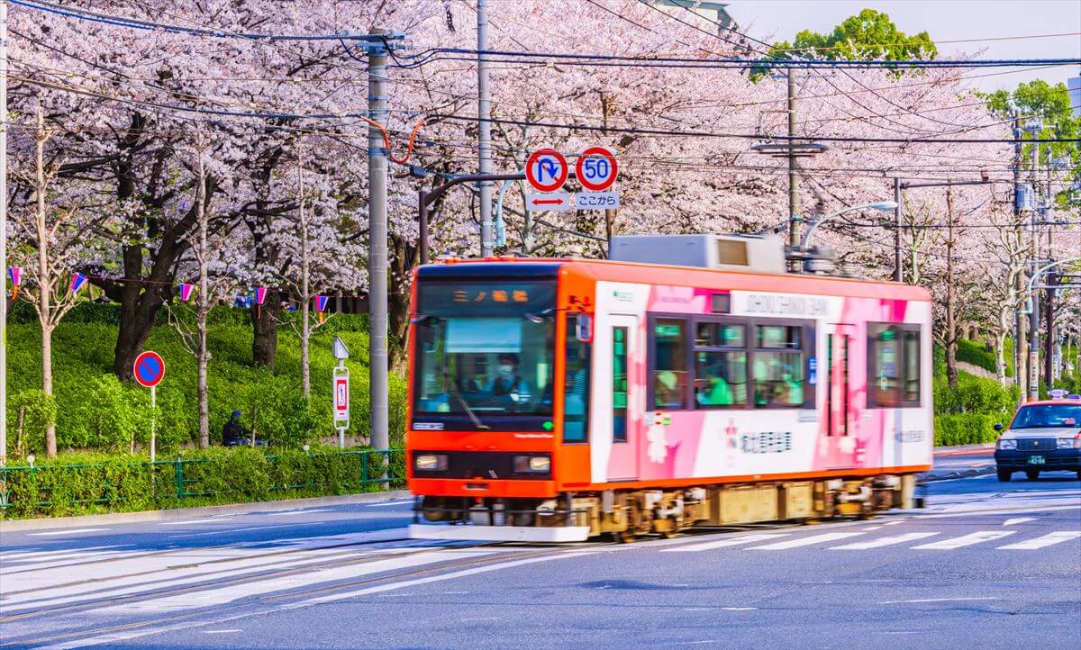 도쿄의 이색 교통수단, 트램 노면전차