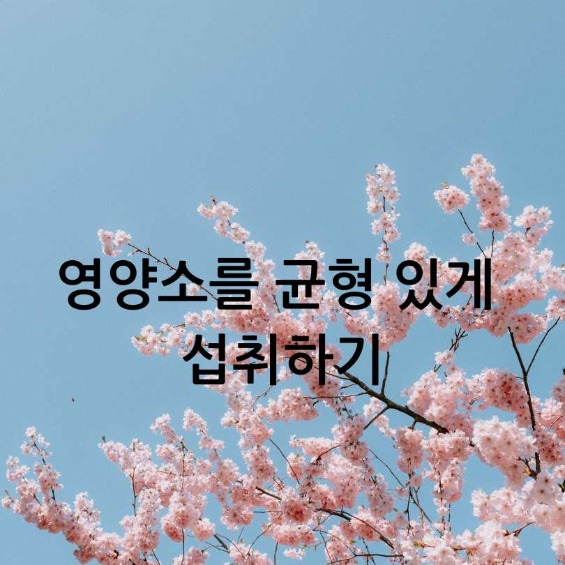 춘곤증 원인, 증상, 해결방법