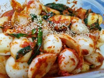 nv_양파김치 만드는법_18