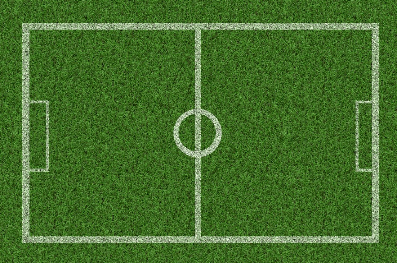 축구 전체 이미지 사진