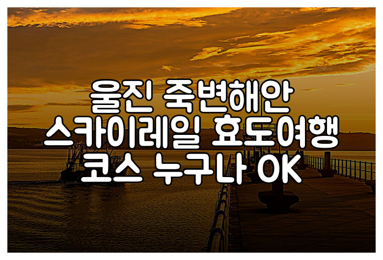 울진 죽변해안 스카이레일 효도여행 코스 누구나 OK