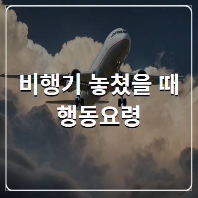 비행기 놓치면, 비행기 놓쳤을 때