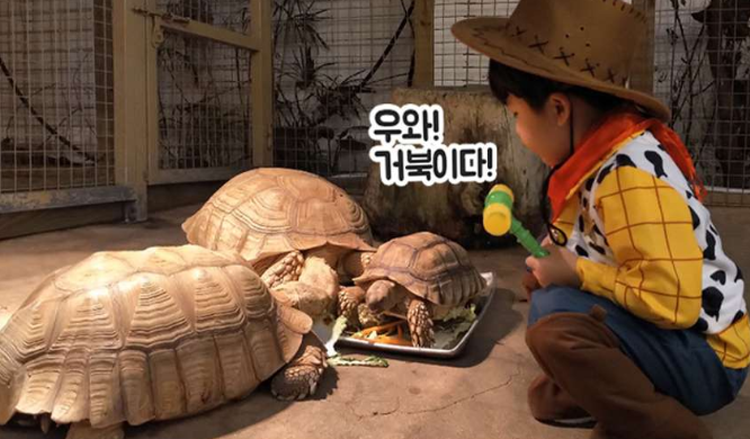 대구 네이처파크 체험프로그램