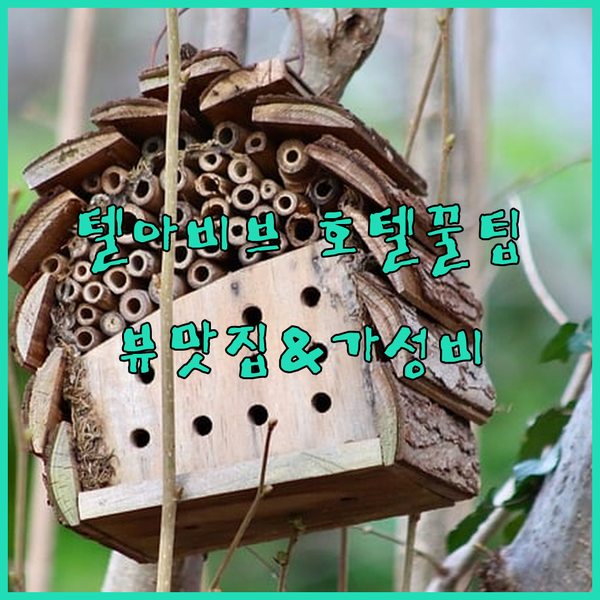 텔아비브 호텔 꿀팁 대방출! 뷰맛집