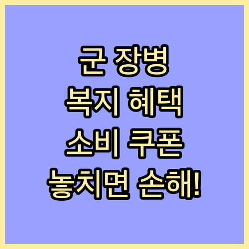 군 장병을 위한 소비쿠폰과 복지 혜택..