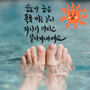 무더운 여름 인사말 더운날씨 폭염 7월 8월 안부 건강 더위 조심 상황별 문자 TOP402