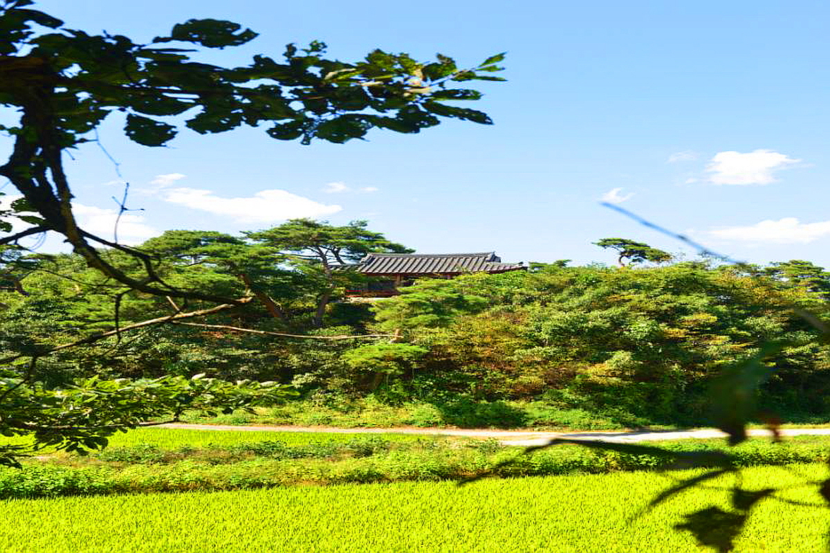 예산 일산 이수정