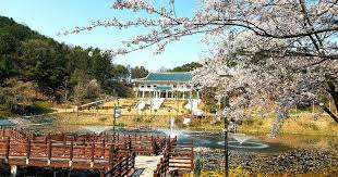 청남대 관람 예약