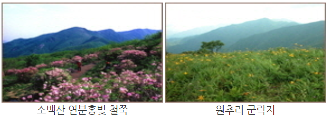 소백산 등산코스