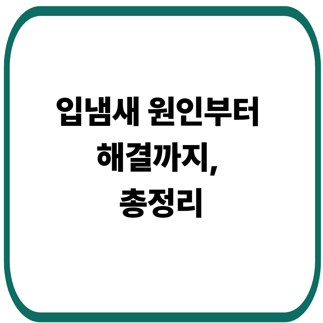 입냄새 원인부터 해결까지
