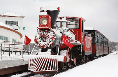 제주 에코랜드 기차 타고 떠나는 겨울 가족 여행(6세 아이랑 갈만한곳)