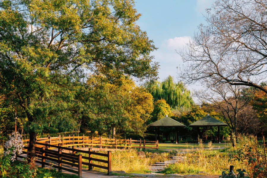 대전 당일치기 힐링 여행