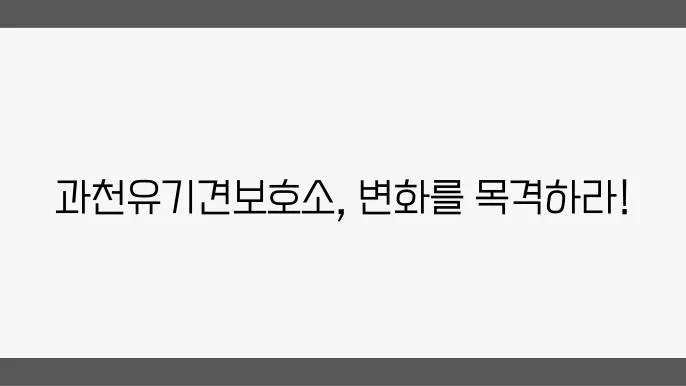 과천유기견보호소의 유기견 복지 향상 활동