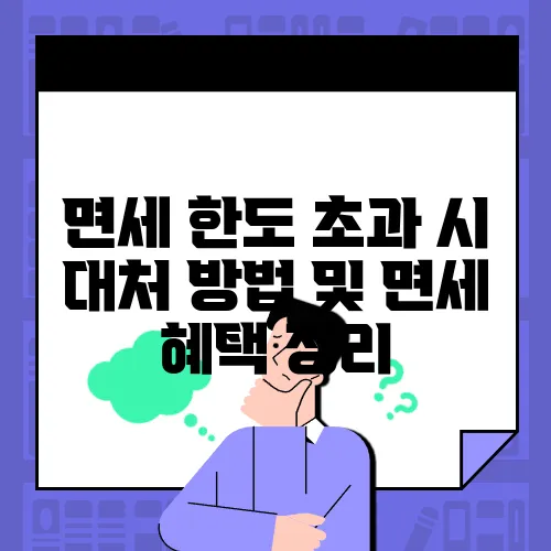 면세 한도 초과 시 대처 방법 및 면세 혜택 정리