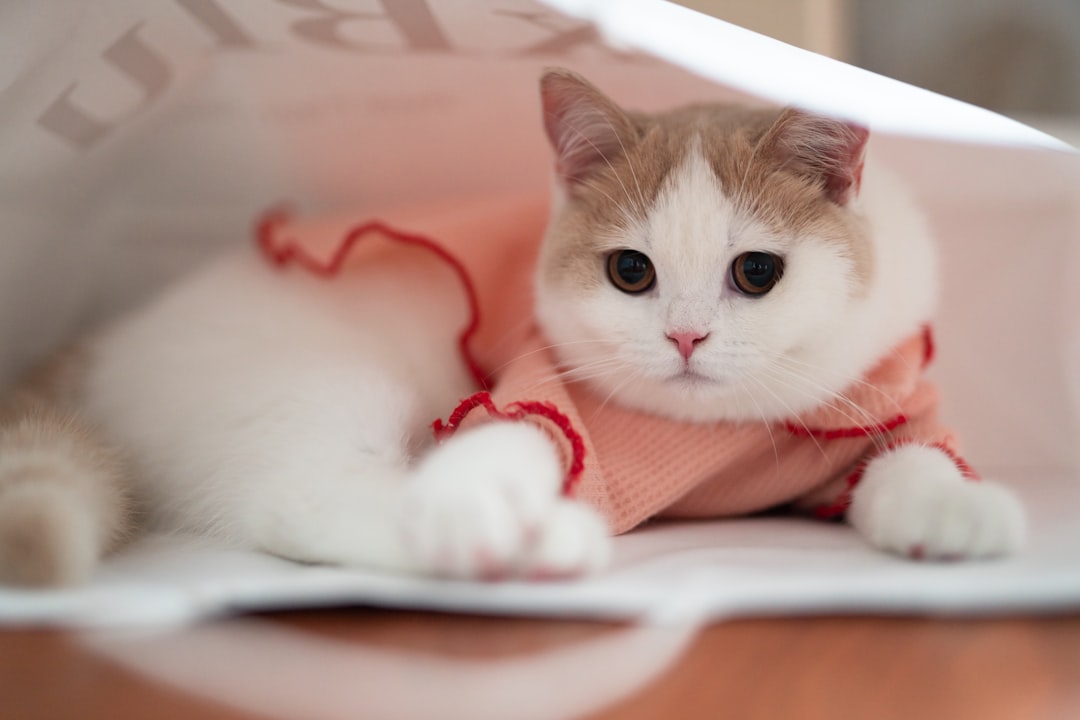 Pet supplies